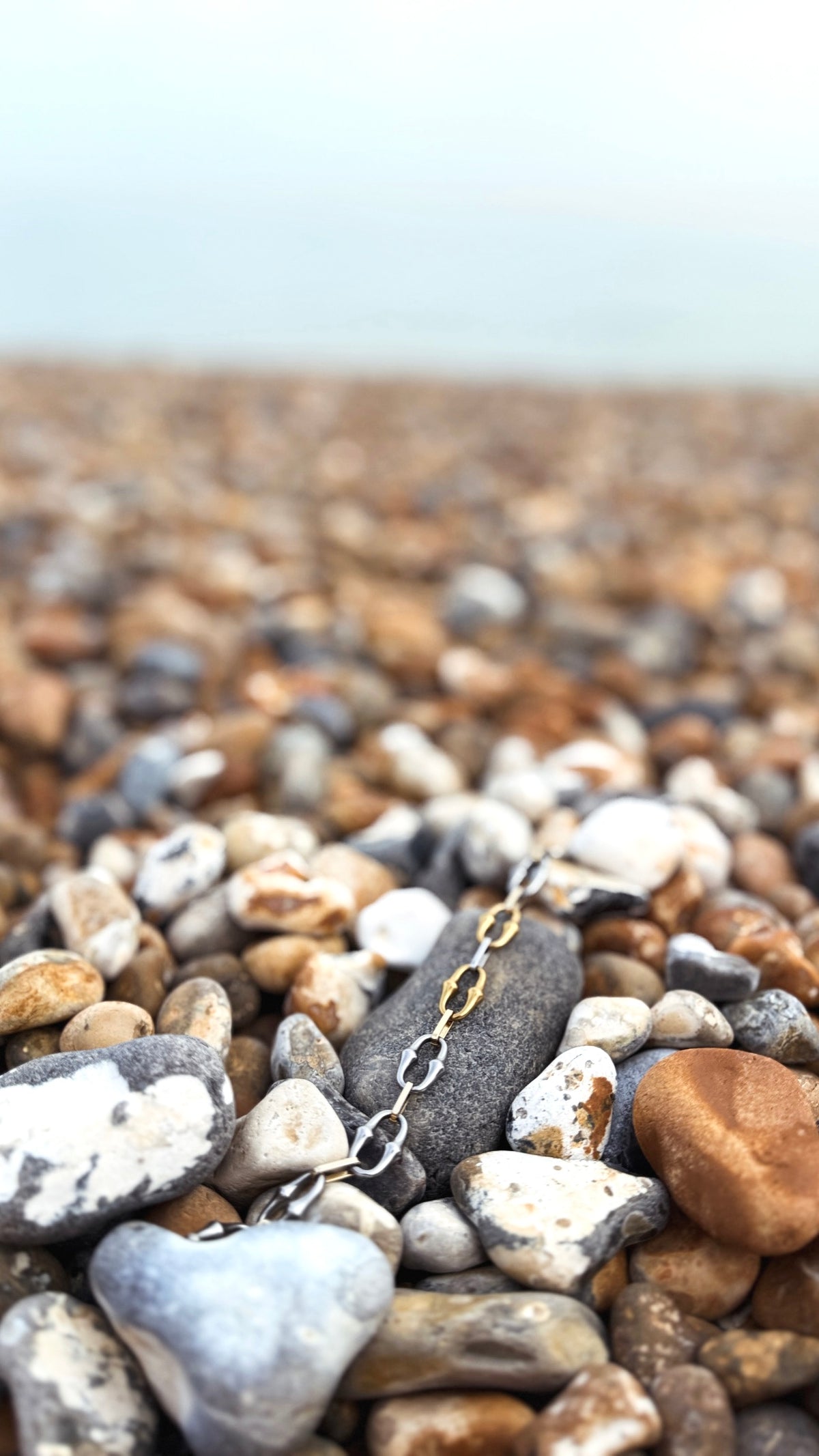 Limited Edition Connections two-tone choker necklace
